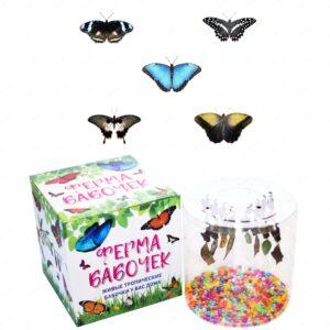 Ферма бабочек "Окружающий Мир" С Морфо