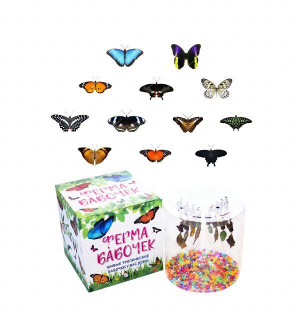 Ферма бабочек "Счастье"