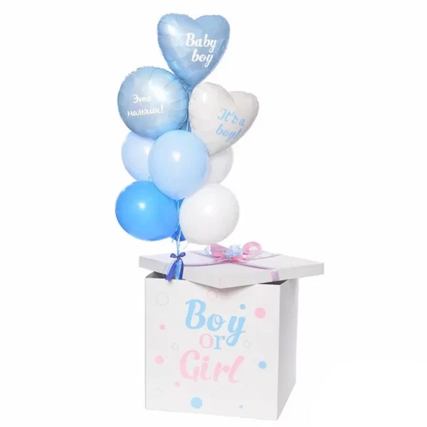 Коробка-сюрприз "Boy or Girl"